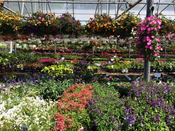 Gardener's Center and Florist The - Darien, CT