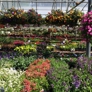 Gardener's Center and Florist The - Darien, CT