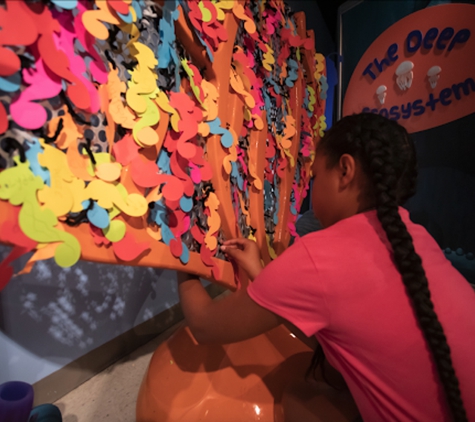 Children's Museum of Virginia - Portsmouth, VA