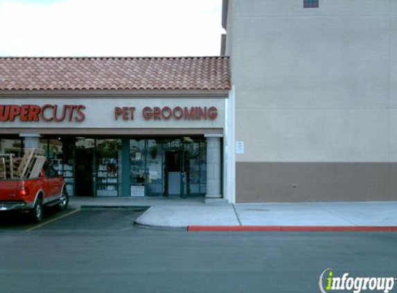 Painted Desert Dog Grooming - Las Vegas, NV