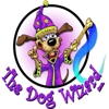 South Atlanta Dog Wizard gallery