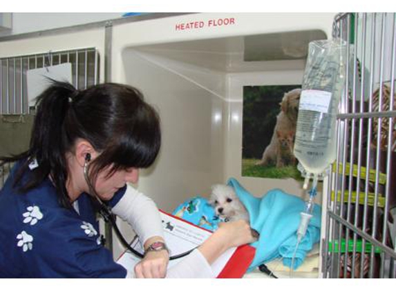 Kirrawee Veterinary Hospital - Kirrawee, NSW