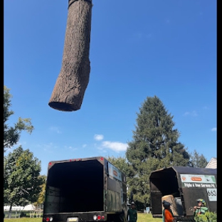 PA Triple A Tree Service - Feasterville-Trevose, PA