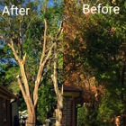 Moultrie landscaping & tree service