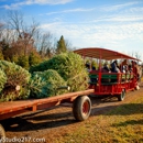 Pioneer Trails Tree Farm - Christmas Trees