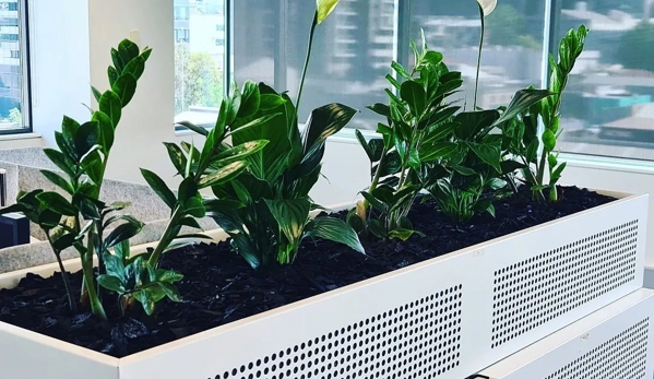 D&L Indoor Plant Hire & Garden Maintenance - Shell Cove, NSW