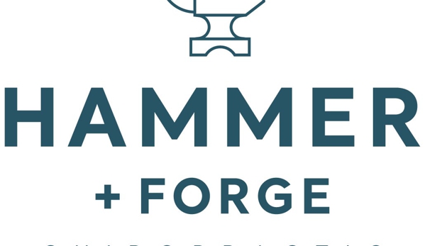 Hammer & Forge Chiropractic - Waukee, IA