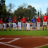 Arden Little League gallery