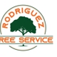 Rodriguez Tree Service