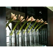 Gallery Image Number 6