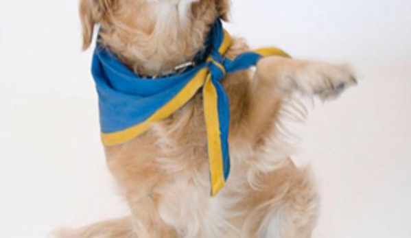 Man's Best Friend Dog Grooming - Strathfieldsaye, VIC