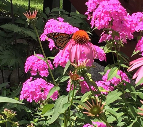 Bridgeview Gardens - Princeton, MN