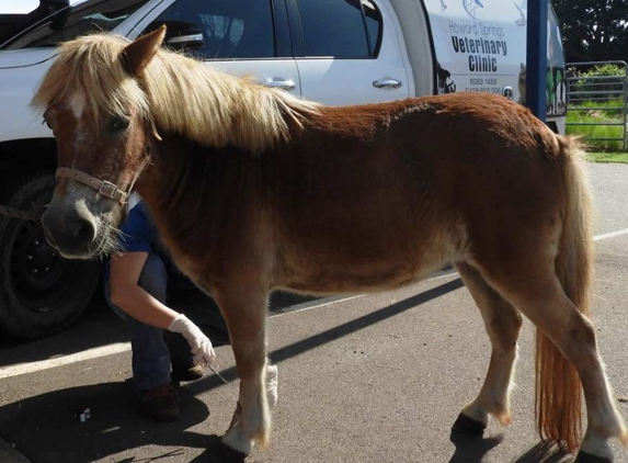 Howard Springs Veterinary Clinic - Howard Springs, NT