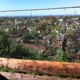 Ocean View Farms