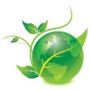 Eco-Cleaning Services