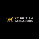 KT British Labs - Pet Breeders