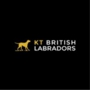 KT British Labs