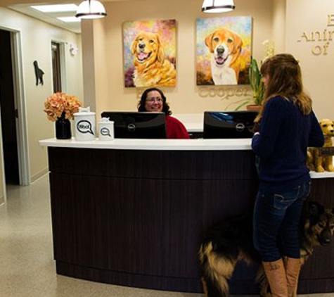 BelaCoop Animal Hospital of North Park - Gibsonia, PA