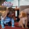 Oxi Fresh Carpet Cleaning gallery