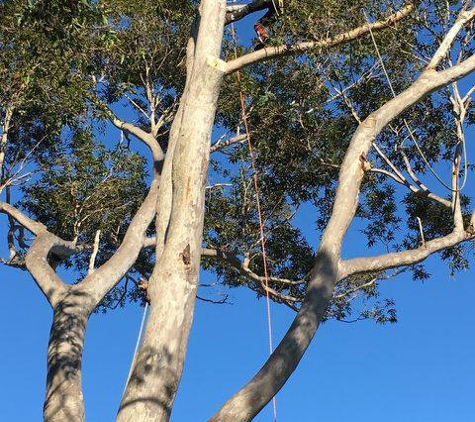 Horizon Total Tree Service - Tomakin, NSW