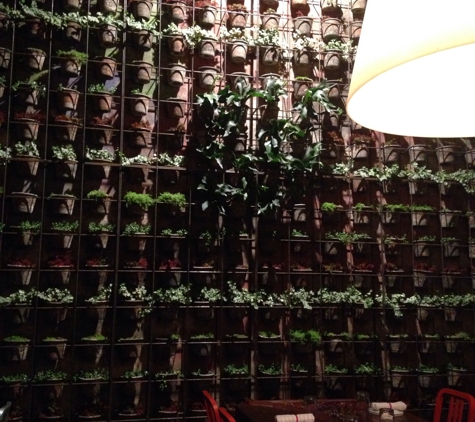Two Urban Licks - Atlanta, GA. A beautiful and unique wall full of plants in the private party room