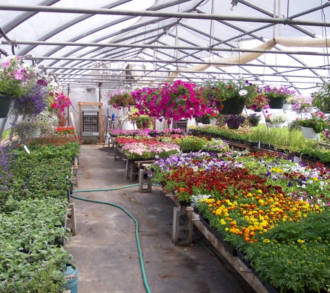 Ellis' Greenhouse & Nursery - Hudson, ME. Color!