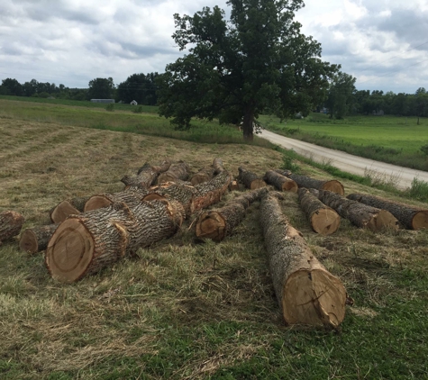 C&H Tree Removal LLC - Macon, MO