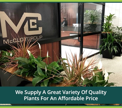 Jindalee Indoor Plant Service - Edgeworth, NSW. We Supply A Great Variety Of Quality Plants For An Affordable Price