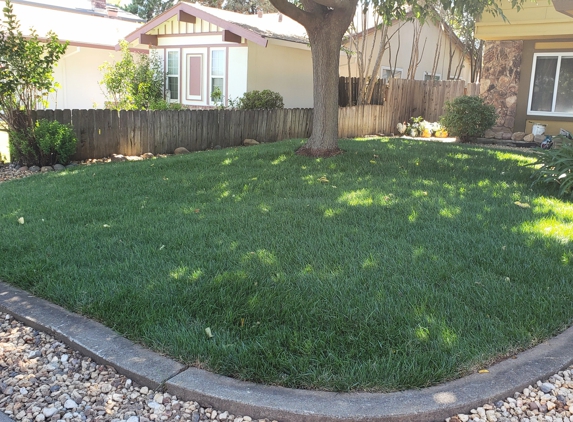 Spicer Landscapes Inc - Sacramento, CA