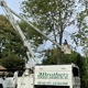 3 Brothers Tree Service