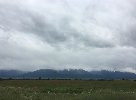 Bison Range - Charlo, MT