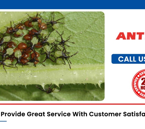Antibug Pest Management - Castle Hill, NSW. We Provide Great Service With Customer Satisfaction
