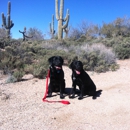 Urban K-9 San Diego Dog Training - Pet Boarding & Kennels