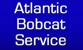 Atlantic Bobcats Logo