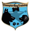 Champion Dog Training gallery