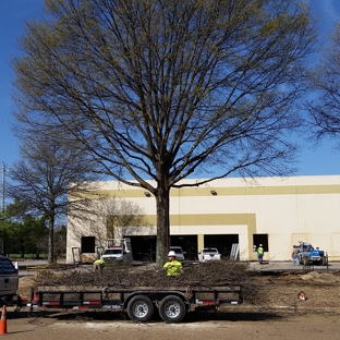 Chuck Holloway's Tree Care LLC - Drummonds, TN