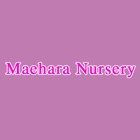 Maehara Nursery