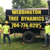 Weddington Tree Dynamics gallery