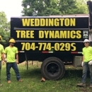 Weddington Tree Dynamics - Tree Service