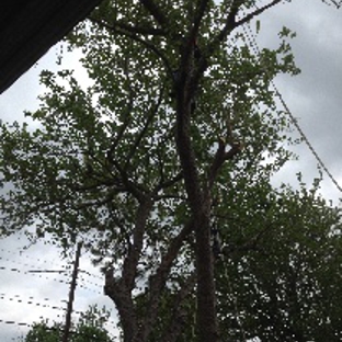 Aaron's Tree Service - Mesquite, TX