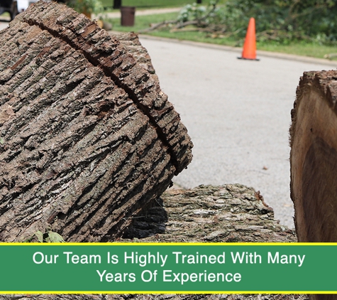 Heritage City Stumping Service - South Ripley, QLD. Our Team Is Highly Trained With Many Years Of Experience