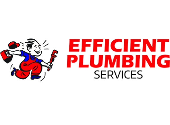 Efficient Plumbing Services - Littleton, CO