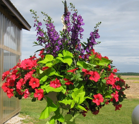 C & G Greenhouses - Crofton, KY