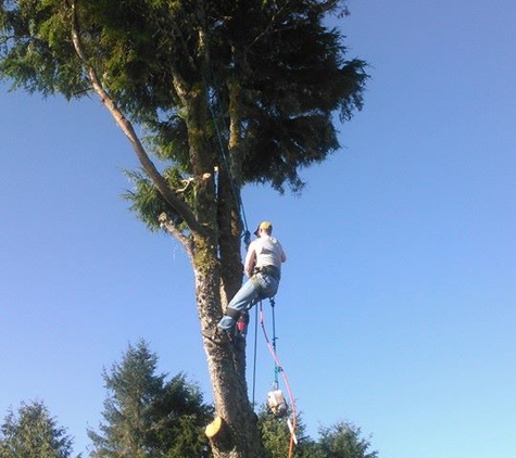 Bonnell Tree Technicians - Cosmopolis, WA