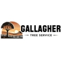 Gallagher Tree Service and Landscape Contracting