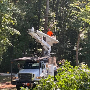 Arning Tree Service - Statesville, NC