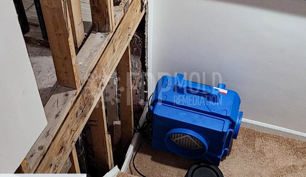 FDP Mold Remediation of Newark - Newark, NJ