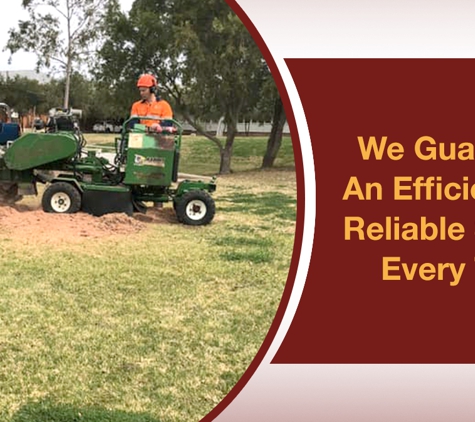 Eldridge Tree Service - Narrandera, NSW. We Guarantee An Efficient And Reliable Service Every Time