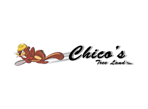 Chicos Tree Land - Highland Park, IL