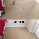 Full Steam Carpet Cleaning & Restoration